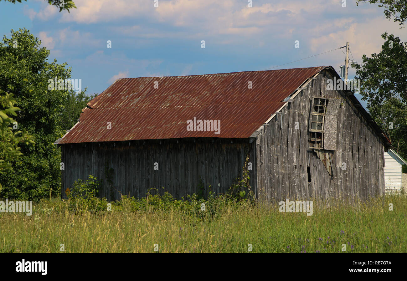 Antico fienile nel mezzo del campo Foto Stock