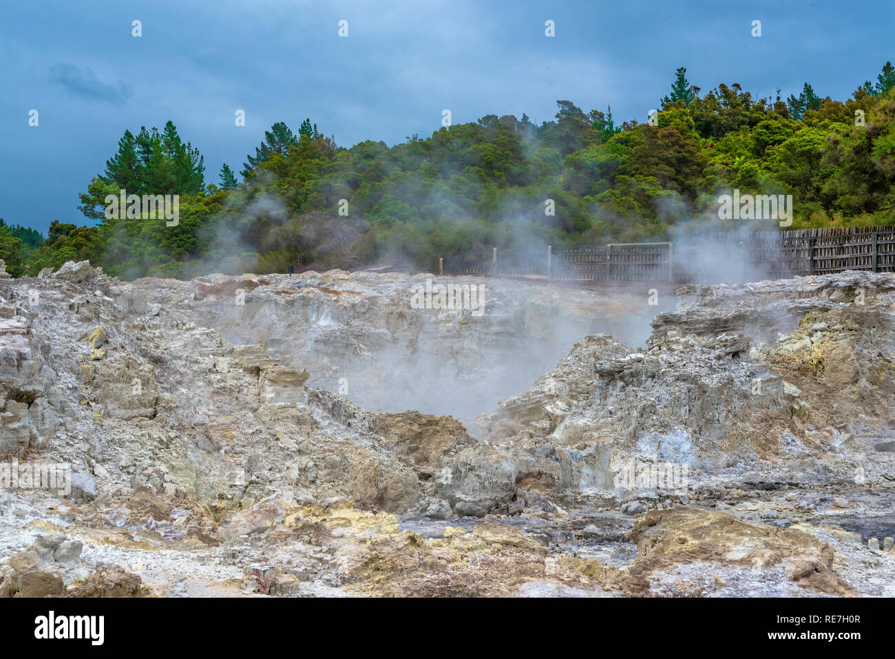 Hells Gate, Nuova Zelanda - 1 marzo 2018. Getti di vapore sparare dalle calde piscine al Parco geotermico e spa. Foto Stock