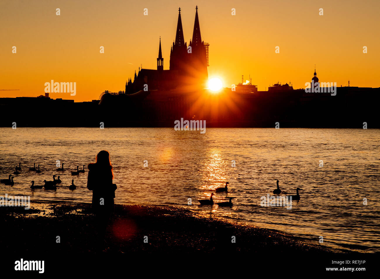 Eine Frau steht bei Sonnenuntergang am Ufer des Rheins. Im Hintergrund zeichnet sich der Kölner Dom ab. Foto Stock