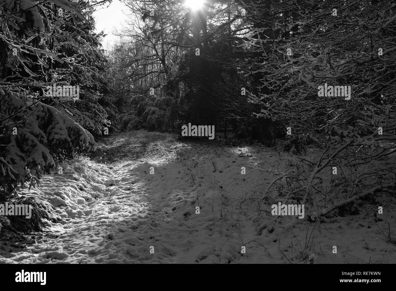 Bellissimo paesaggio durante l'inverno boreale Area della Germania Siegerland Foto Stock