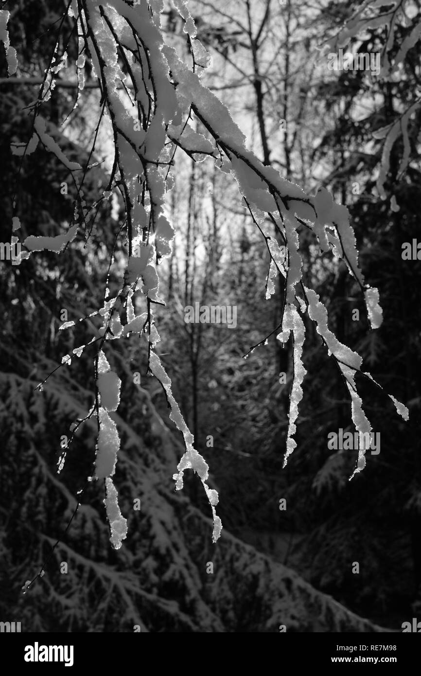 Bellissimo paesaggio durante l'inverno boreale Area della Germania Siegerland Foto Stock