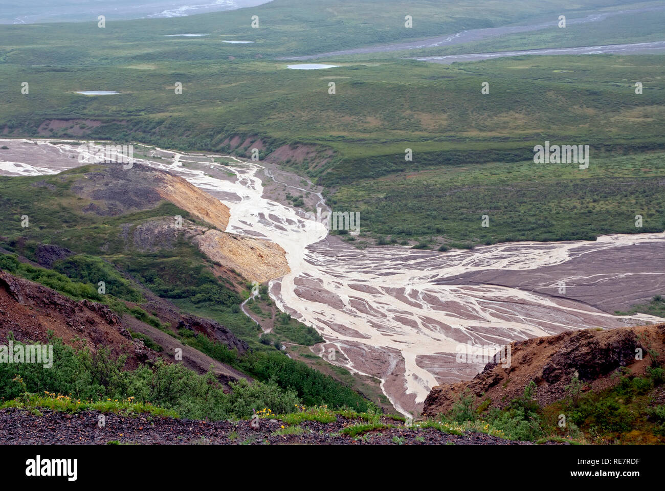 Parco Nazionale di Denali, Alaska Foto Stock