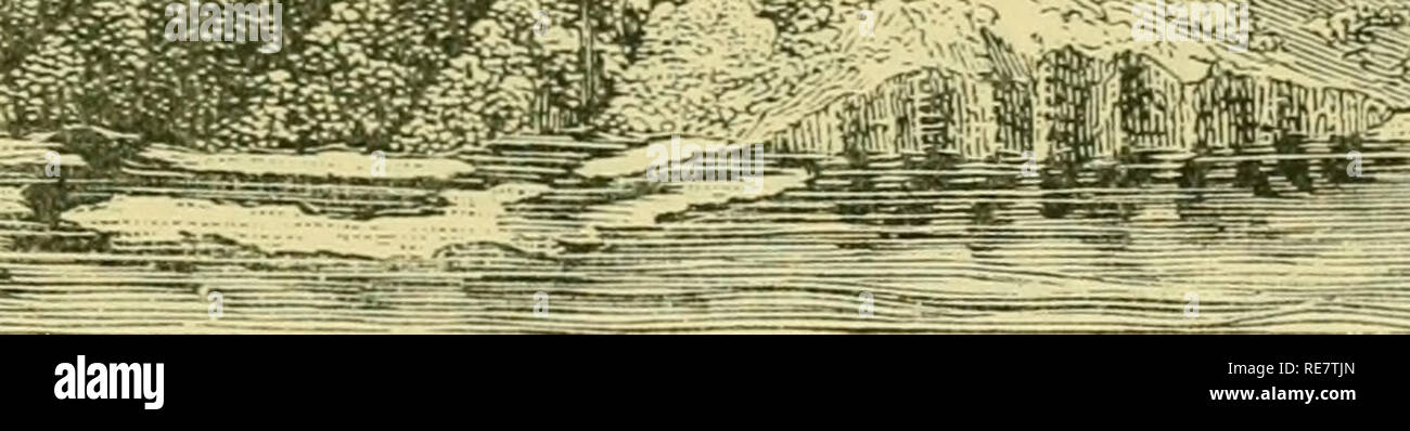 . I coralli e le isole coralline. Le barriere coralline e le isole; coralli. Struttura di barriera corallina. 103 mentre alcune isole hanno solo strette scogliere sfrangiatore, altri sono quasi o del tutto circondato dalla barriera distante, che si erge come un molare artificiale per proteggere la terra da un accavallarsi oceano. La barriera è occasionalmente dieci o quindici miglia dalla terra e incloses non solo uno ma in tempi diversi, isole di alta. Da barriere coralline di questa grande dimensione, ci sono tutte le possibili variazioni verso il basso per il semplice piattaforma sfrangiatore. Il canale interno è a volte a mala pena abbastanza profonda con la bassa marea per canoe, o Foto Stock