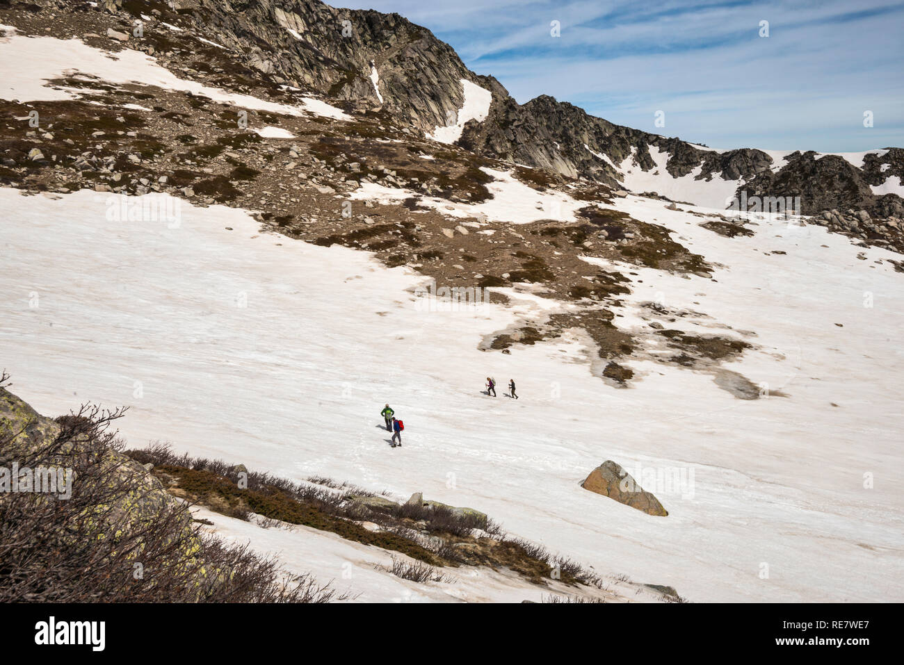 Gli escursionisti attraversa il campo di neve a Monte Renoso Trail, GR 20 variante, Haute-Corse, Corsica, Francia Foto Stock