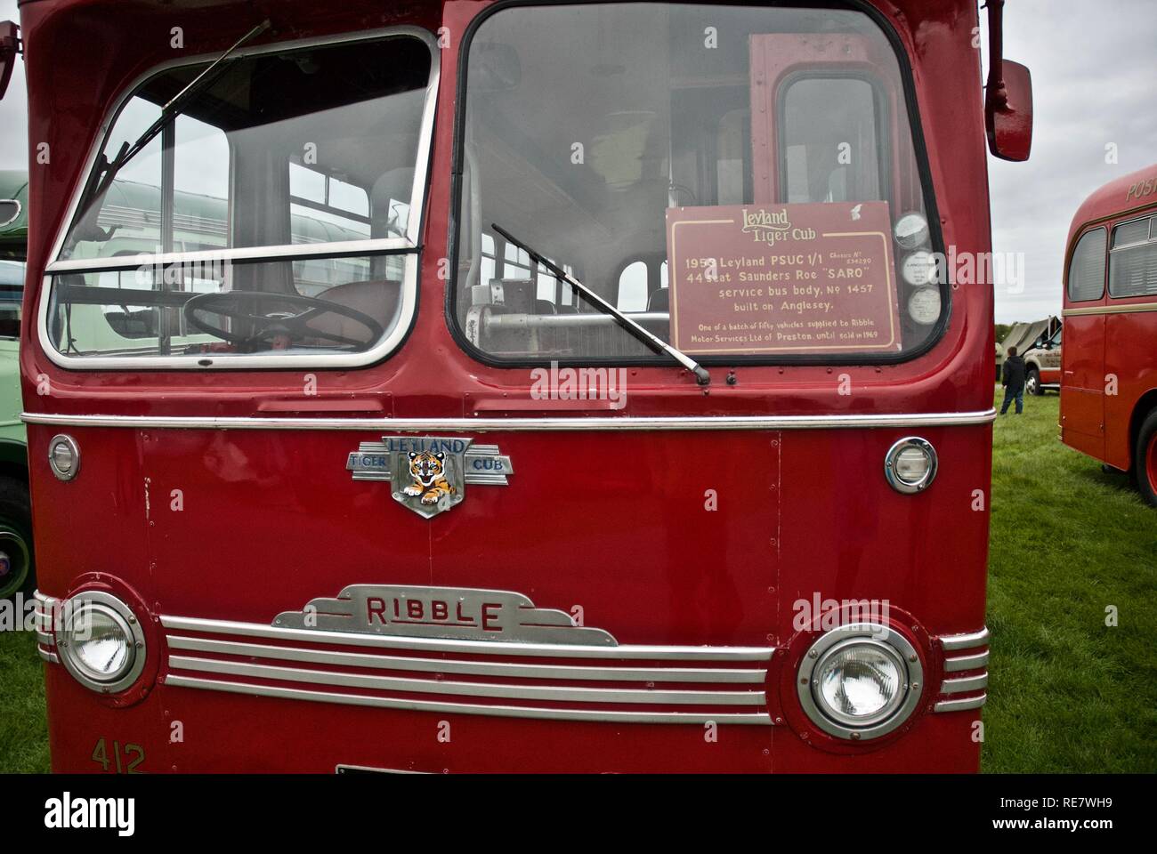 Un Leyland Tiger Cub single decker bus nel Anglesey Vintage Rally, Anglesey, Galles del Nord, Regno Unito, maggio 2015 Foto Stock