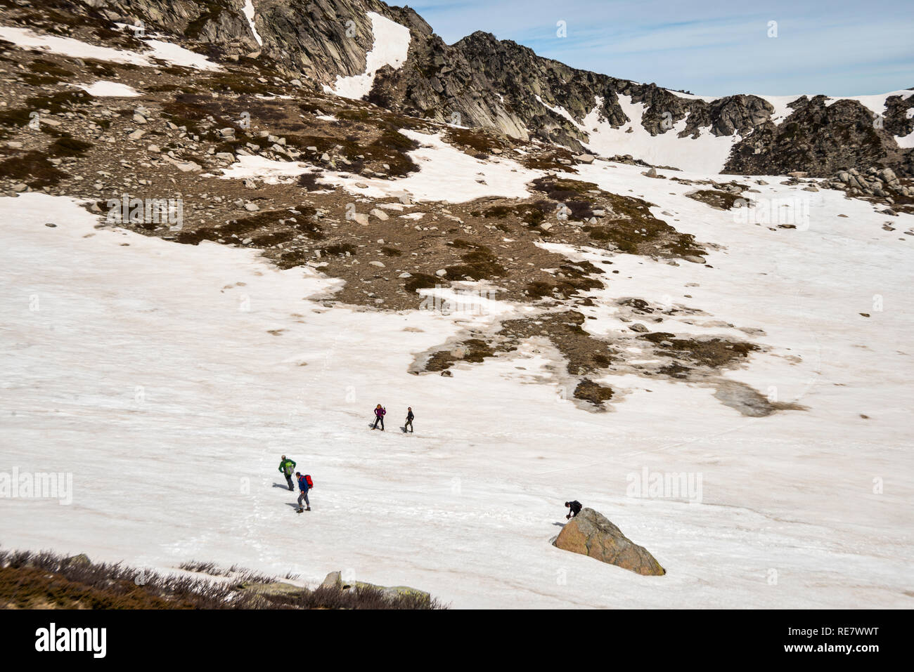 Gli escursionisti attraversa il campo di neve a Monte Renoso Trail, GR 20 variante, Haute-Corse, Corsica, Francia Foto Stock