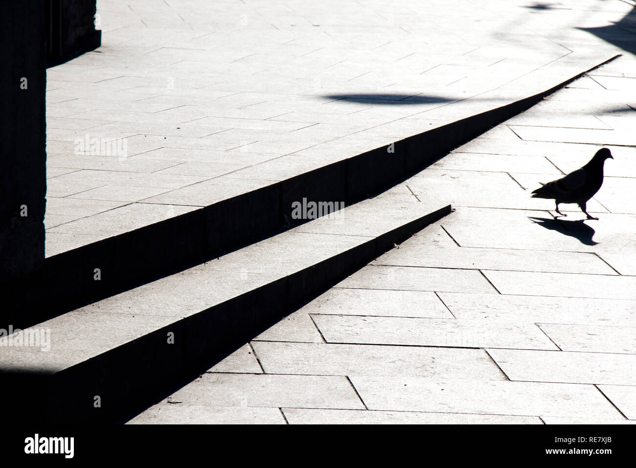 Piccione sfocate sagome e ombre sulla strada di città marciapiede con scale in bianco e nero a contrasto elevato Foto Stock