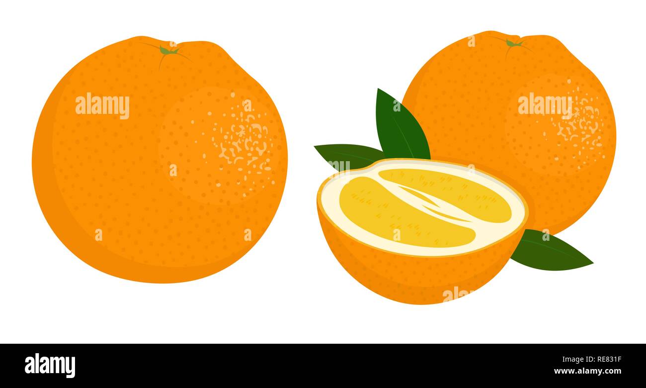Tutta arancione e metà di colore arancione. Illustrazione Vettoriale di arance isolati su sfondo bianco. Illustrazione Vettoriale
