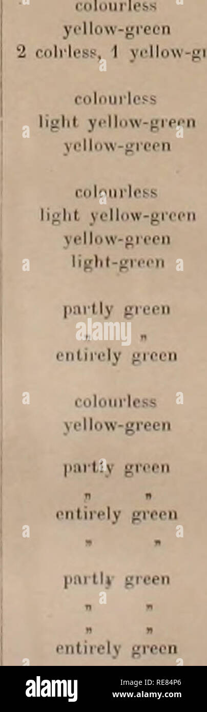 . Un contributo alla fisiologia di acqua fresca di spugne (Spongillidae). Spugne. 3e. Ho ^ pnrtly verde giallo-giecn liai-tly luce yell.-greoii 10. VII 20. VU 23. VII 24 vm 31 vin 8 IX 3 vm 17 vni 24. VIII 31 VIII 3. vm 17. VIII 24. VIII " gjiSür 2. XI 24. IX 2G XI se&GT;. XII 22 II 26. XI 15. XII 16. XII 22.11 2. IV 26. XI 15. XH 22. II 2. IV. 2,=,. XI 1.". XII 1.5. Ho 22. II 3. IV ;accesa giallo-verde t-giallo verdolino gi ' 10. Ill 30. Ill 22. IV. Si prega di notare che queste immagini vengono estratte dalla pagina sottoposta a scansione di immagini che possono essere state migliorate digitalmente per la leggibilità - colorazione e Foto Stock
