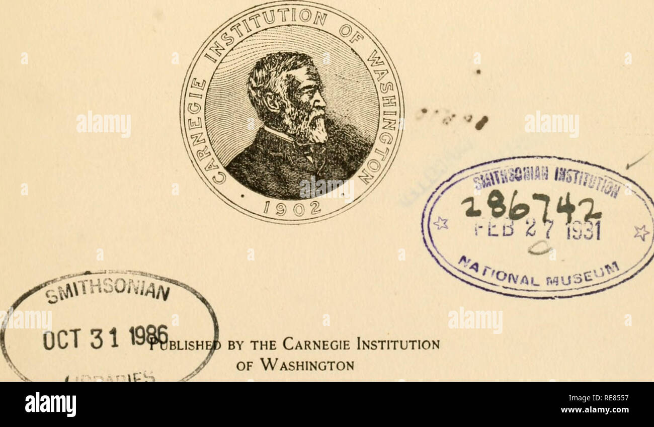 . Contributi per lo studio del comportamento degli organismi inferiori. Fisiologia, confronto; Infusoria; ameba; irritabilità. )4 vvert.r"ol. Contributi per lo studio del comportamento degli organismi INFERIORI DI HERBERT S. JENNINGS assistente alla cattedra di Zoologia dell'Università di Pennsylvania Research Assistant, Carnegie Institution di Washington. husw dalla Carnegie Institution di Washington i..: :;;;,t.^.--"^ 1904. Si prega di notare che queste immagini vengono estratte dalla pagina sottoposta a scansione di immagini che possono essere state migliorate digitalmente per la leggibilità - Colorazione e aspetto di queste illustrazioni non possono Foto Stock