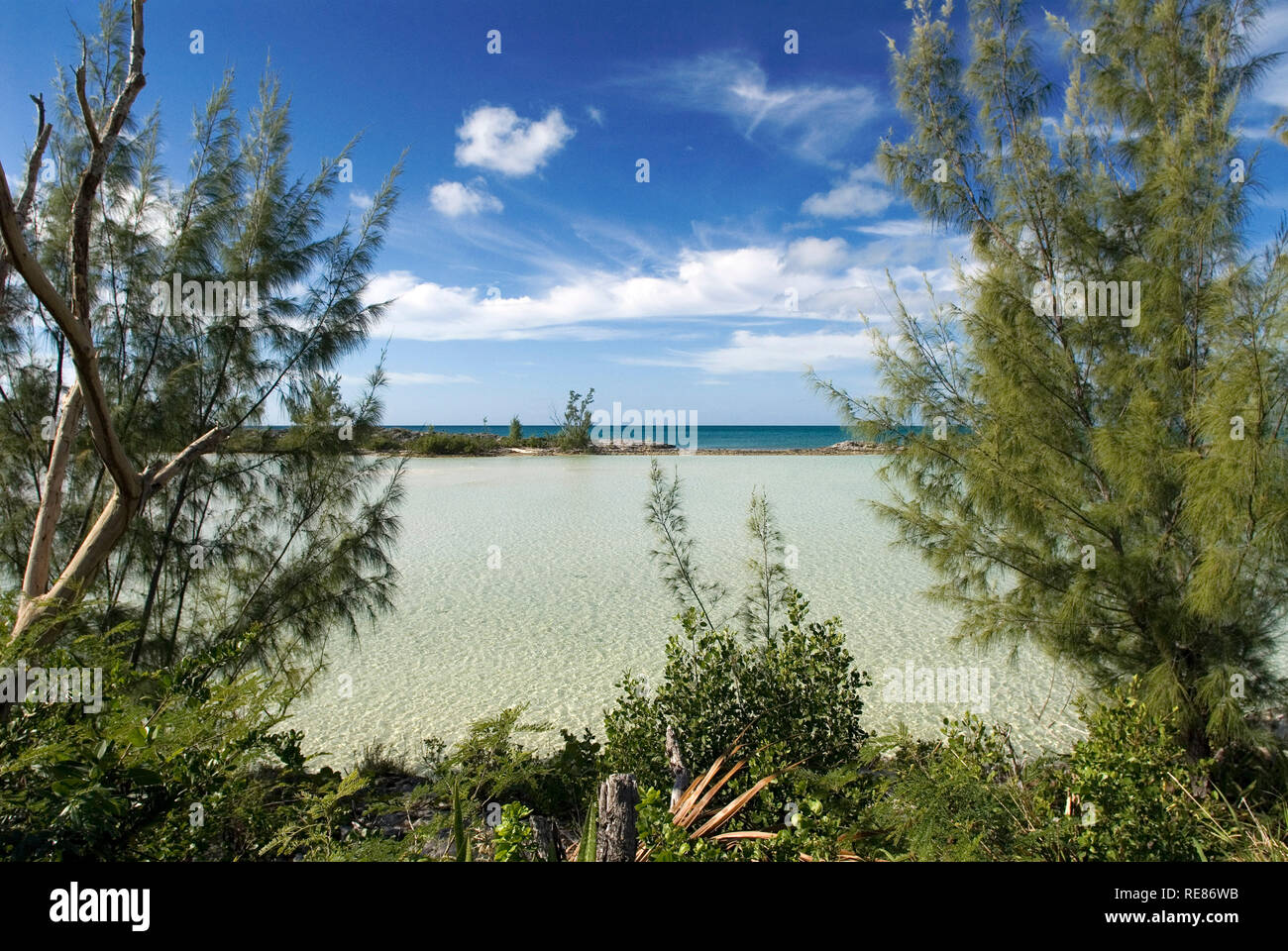 Cat Island, Bahamas. Spiaggia di Est (atlantico) area Pine Bay, Cat Island. Foto Stock