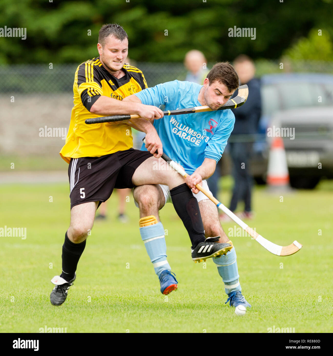 Azione dal shinty Balliemore della finale della Coppa del Mondo, Caberfeidh v Fort William, suonato a Blairbeg, Drumnadrochit. Foto Stock