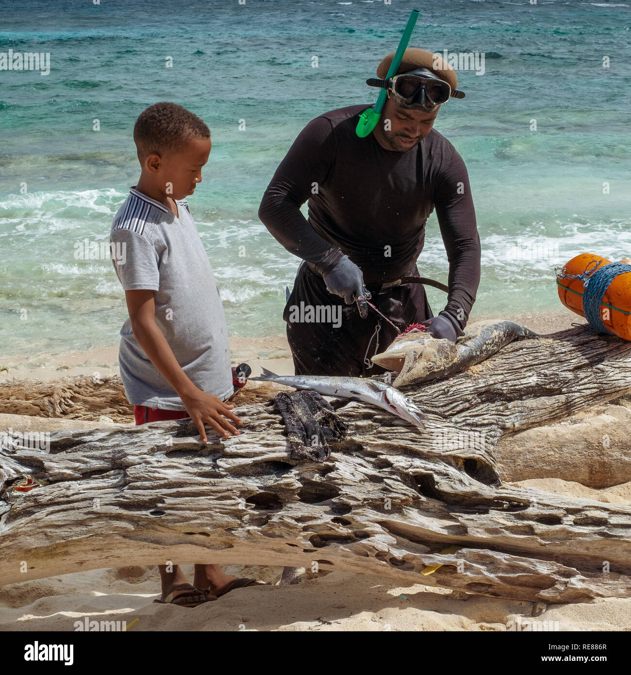 01-08-2019; San Andrés isola, Colombia. Kid sta guardando abitante pescatore che è la pulizia di un barracuda cacciate nella barriera corallina. Foto Stock