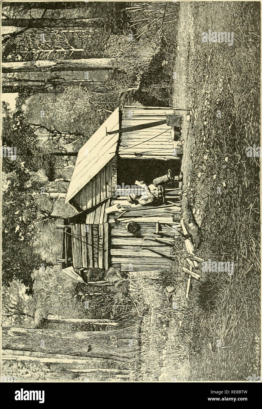 . La terra e i suoi abitanti ... La geografia. Abitanti dell'Australia. 389 dominio tramite agenti, e residenti nella città costiere, o anche a Londra o a u I H bo. Parigi. Così è avvenuto che la terra è ali'ronto in gran parte monopolizzata da a. Si prega di notare che queste immagini vengono estratte dalla pagina sottoposta a scansione di immagini che possono essere state migliorate digitalmente per la leggibilità - Colorazione e aspetto di queste illustrazioni potrebbero non perfettamente assomigliano al lavoro originale. Reclus, Elisée, 1830-1905; Ravenstein, Ernest George, 1834-1913; Keane, A. H. (Augusto Enrico), 1833-1912. New York, D. Appleton e Foto Stock