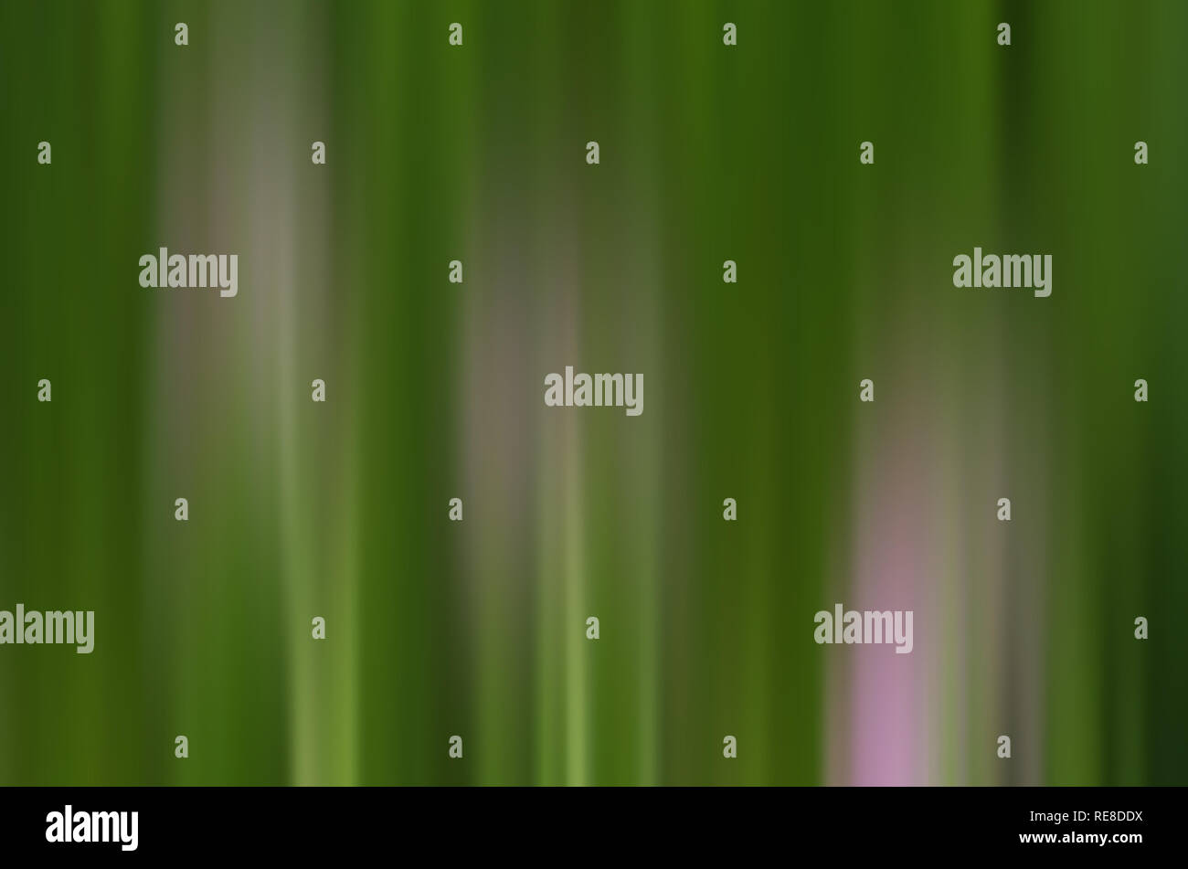 Sfondo,blured,colori,astrazione Foto Stock