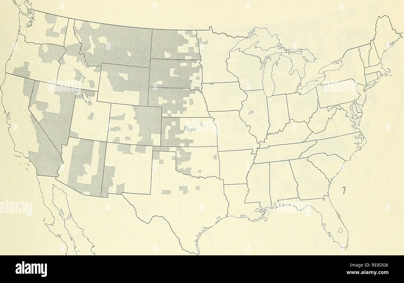 . Cooperativa economica relazione di insetti. Insetti Utili; pesti di insetto. - 7ii - distribuzione della gamma cavallette Amphitornus coloradus (Thos.). Arphia conspersa Scudd.. Si prega di notare che queste immagini vengono estratte dalla pagina sottoposta a scansione di immagini che possono essere state migliorate digitalmente per la leggibilità - Colorazione e aspetto di queste illustrazioni potrebbero non perfettamente assomigliano al lavoro originale. Stati Uniti. Per la salute animale e vegetale servizio. Protezione dei vegetali e mettere in quarantena i programmi; Stati Uniti. Ufficio di presidenza di Entomologia e per la quarantena dei vegetali; Stati Uniti. Impianto di Controllo di Peste di divisione. Hyattsville, MD. Foto Stock