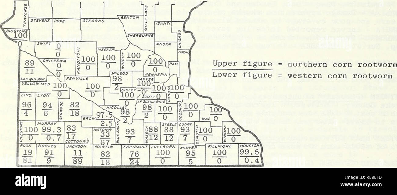 . Cooperativa economica relazione di insetti. Pesti di insetto di controllare gli Stati Uniti periodici. - 1030 - sale palude (CATERPILLAR Estigmene acrea) - Wisconsin larve comune su sete di mais in molti campi di mais esaminato. (Wis. Ins. Sur.). SOUTHERN CORNSTALK BORER (Diatraea crambidoides) - North Carolina - infestanti di più steli nel piccolo campo del tardo-piantato mais in Camden County; 2-4 larve presente in ciascuna levetta. Infestazione 70 percentuale nel campo adiacente di mais maturo. Alcuni infestazione osservato nella maggior parte dei campi controllati nella contea. (Tuten, Mount). Il MAIS R00TW0RMS (Diabrotica spp.) - Dakota del Sud - D. virgifera ( Foto Stock