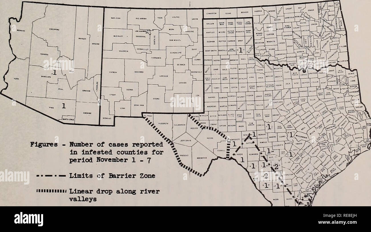 . Cooperativa economica relazione di insetti. Pesti di insetto di controllare gli Stati Uniti periodici. - 1229 - Stato della vite-WORM (Cochliomyia hominivorax) nel sud-ovest durante il periodo novembre 1-7, TEXAS riportato 23 vite-verme casi; 1 ciascuno da Val Verde, Cameron, Crockett, Hidalgo, La Salle, Dimmit, Kinney, Uvalde, Donley, Kerr, Burnett, Comal, Frio, McCulloch e Schleicher contee; 2 casi segnalati in Zavala e Medina contee e 3 casi in Zapata County. Il ventitreesimo caso non era riconducibile al punto di origine. ARIZONA ha denunciato un caso ciascuno in pima e Maricopa contee. La Repubblica di Foto Stock