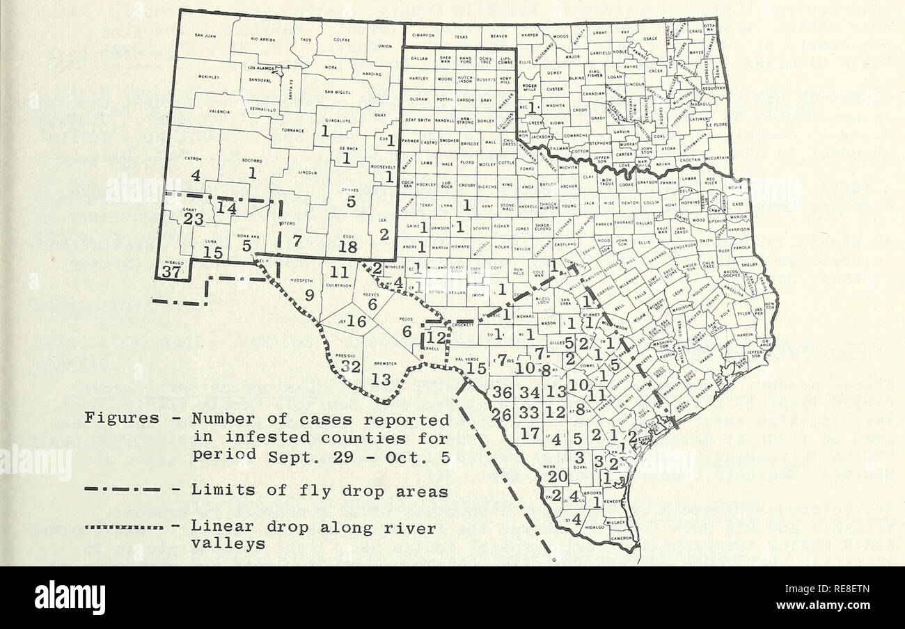 . Cooperativa economica relazione di insetti. Pesti di insetto di controllare gli Stati Uniti periodici. - 1247 - Stato della vite-WORM (Cochliomyia hominivorax) nel sud-ovest durante il periodo 29 settembre - 5 ottobre per un totale di 430 infestazioni è stata segnalata dal Texas; 1&amp;5 dal Nuovo Messico; e 1 da Oklahoma. I campioni sono stati segnalati da 61 contee in Texas, 15 contee nel Nuovo Messico e una contea in Oklahoma. Si sono verificati 3 casi di origine ignota in Texas. Questo periodo di reporting riflette la più alta incidenza di vite-worm scoperto durante ogni periodo di 7 giorni di questo anno di calendario. La maggior parte dei casi in Foto Stock