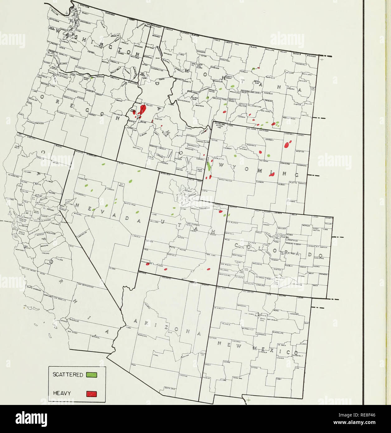 . Cooperativa economica relazione di insetti. Pesti di insetto di controllare gli Stati Uniti periodici. Il MORMON CRICKET SONDAGGIO PER ADULTI - Autunno 1958. V, 1MTID membro MTMTODn di uacuTUK mmwtuui na dich uurr ptsr coma, amm occidentale Regione GPO 977221. Si prega di notare che queste immagini vengono estratte dalla pagina sottoposta a scansione di immagini che possono essere state migliorate digitalmente per la leggibilità - Colorazione e aspetto di queste illustrazioni potrebbero non perfettamente assomigliano al lavoro originale. Stati Uniti. Ufficio di presidenza di Entomologia e per la quarantena dei vegetali; Stati Uniti. Impianto di controllo di peste succursale; Stati Uniti. Impianto di controllo di peste la divisione; Regno Stat Foto Stock