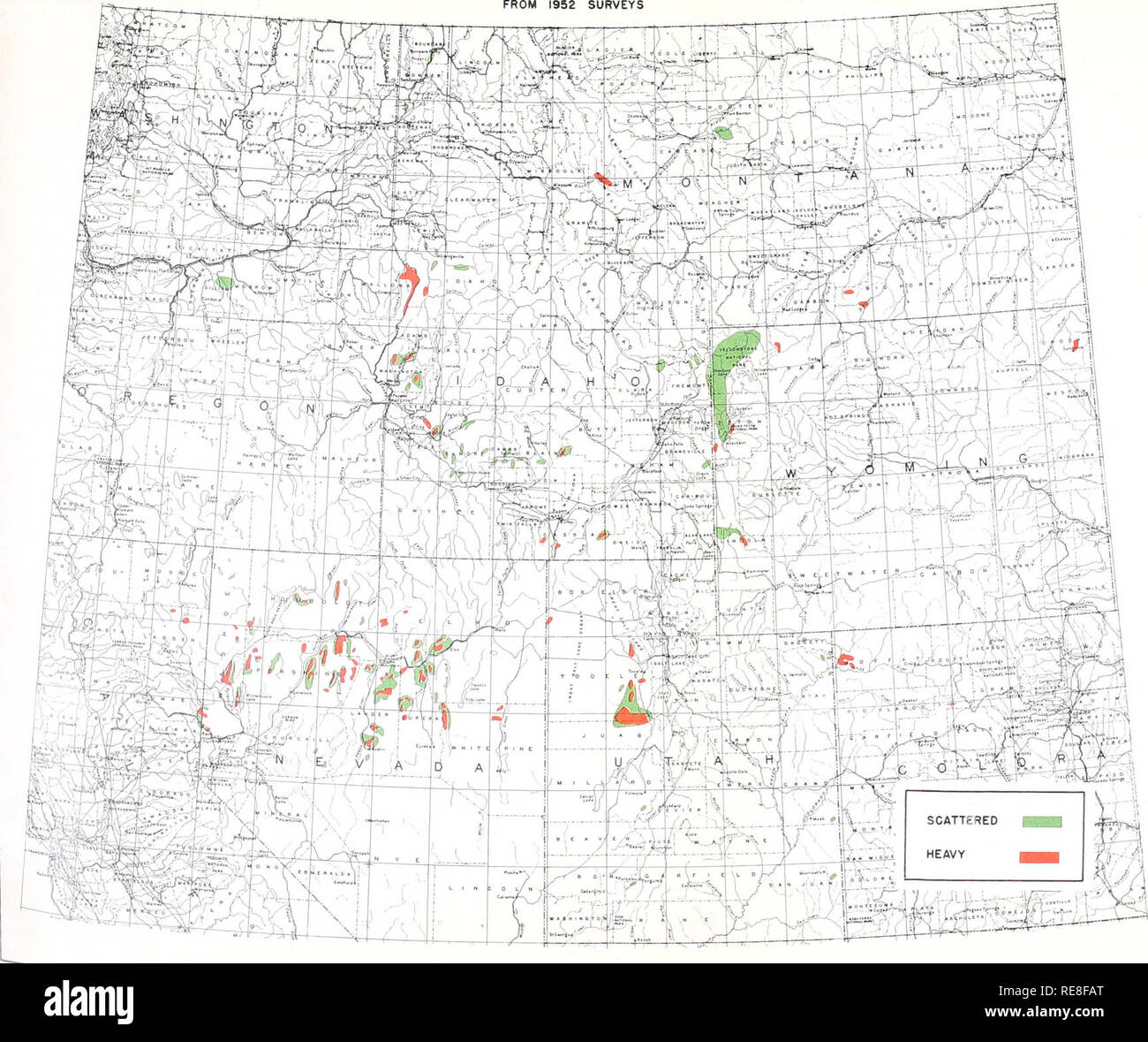 . Cooperativa economica relazione di insetti. Pesti di insetto di controllare gli Stati Uniti periodici. Il MORMON CRICKET infestazione atteso nel 1953. 82-9000755. Si prega di notare che queste immagini vengono estratte dalla pagina sottoposta a scansione di immagini che possono essere state migliorate digitalmente per la leggibilità - Colorazione e aspetto di queste illustrazioni potrebbero non perfettamente assomigliano al lavoro originale. Stati Uniti. Ufficio di presidenza di Entomologia e per la quarantena dei vegetali; Stati Uniti. Impianto di controllo di peste succursale; Stati Uniti. Impianto di controllo di peste la divisione; Stati Uniti. Per la salute animale e vegetale servizio di ispezione. Protezione dei vegetali e mettere in quarantena P Foto Stock