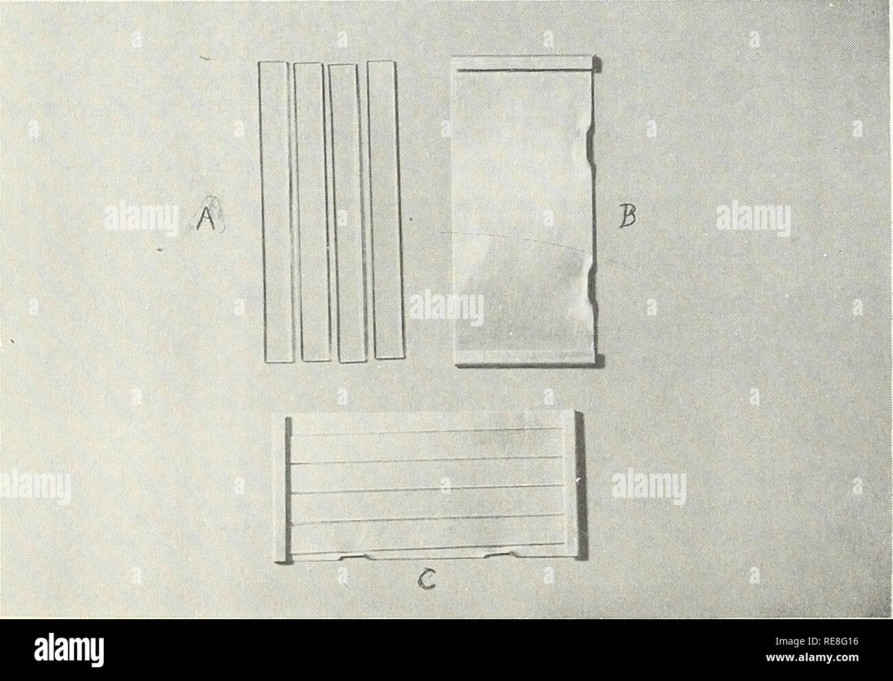 . Cooperativa economica relazione di insetto; metodi di indagine. Indagini entomologica; pesti di insetto di Stati Uniti. Figura 2.--Forcella di campionamento per la raccolta di grano marrone acari da fogliame di grani piccoli per il conteggio di.. Figura 3.--A, vetrini in vetro; B, alluminio clipj C, vetrini in clip pronti per l'applicazione di adesivo. Piastra 4. Si prega di notare che queste immagini vengono estratte dalla pagina sottoposta a scansione di immagini che possono essere state migliorate digitalmente per la leggibilità - Colorazione e aspetto di queste illustrazioni potrebbero non perfettamente assomigliano al lavoro originale. Stati Uniti. Impianto di Controllo di Peste di divisione. [Washington] Foto Stock