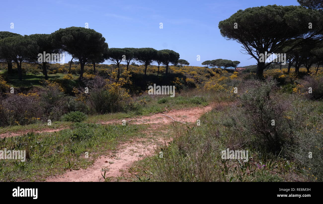 Spanien, Andalusien, Küste Foto Stock