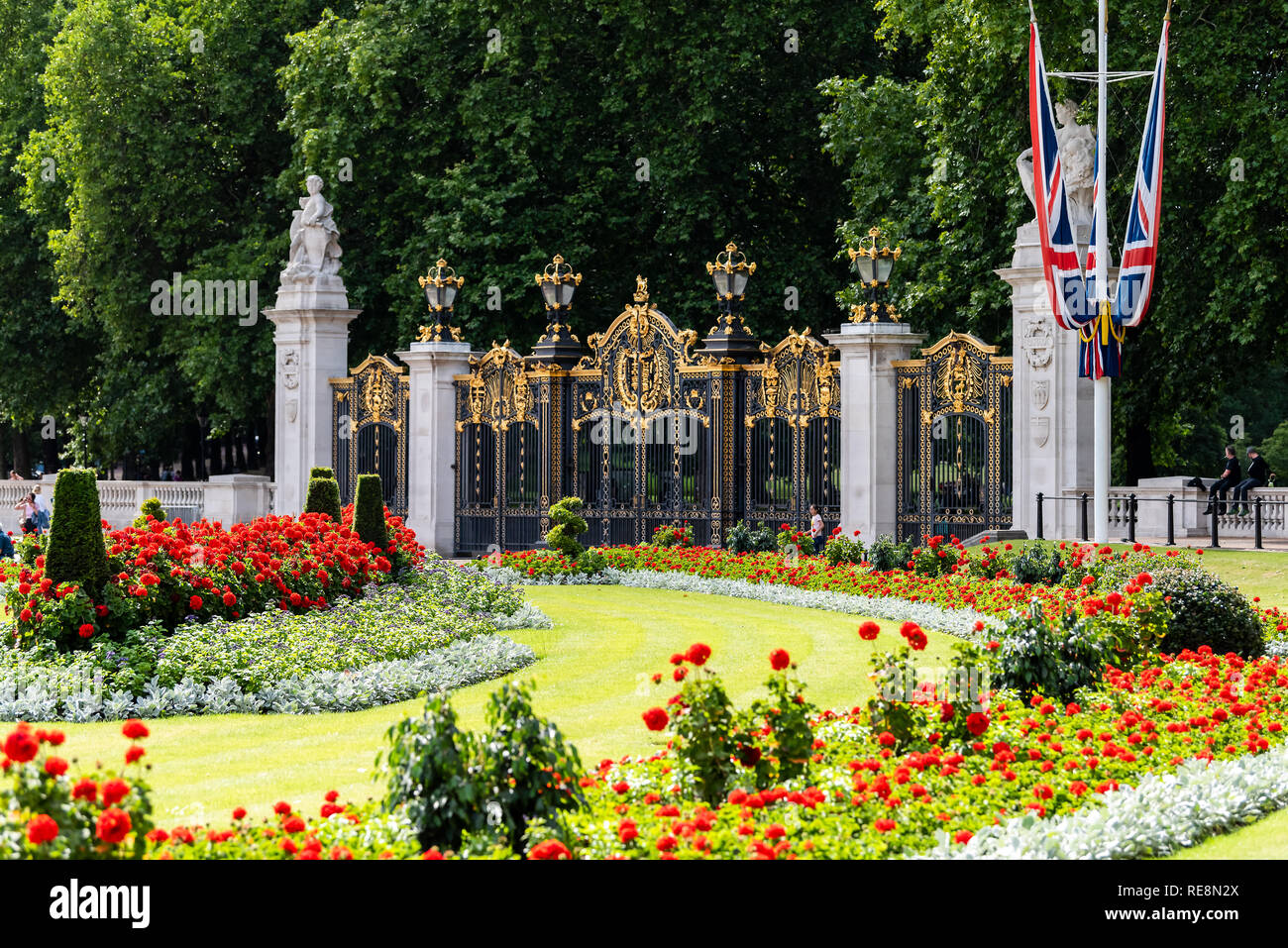 London, Regno Unito - 21 Giugno 2018: Palazzo di Buckingham Gate recinzione architettura e bandiere durante la giornata estiva con Red Rose fiore giardino paesaggistico Foto Stock