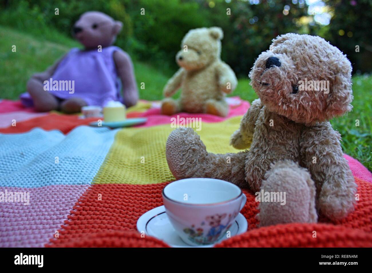 Teddy bear's picnic Foto Stock