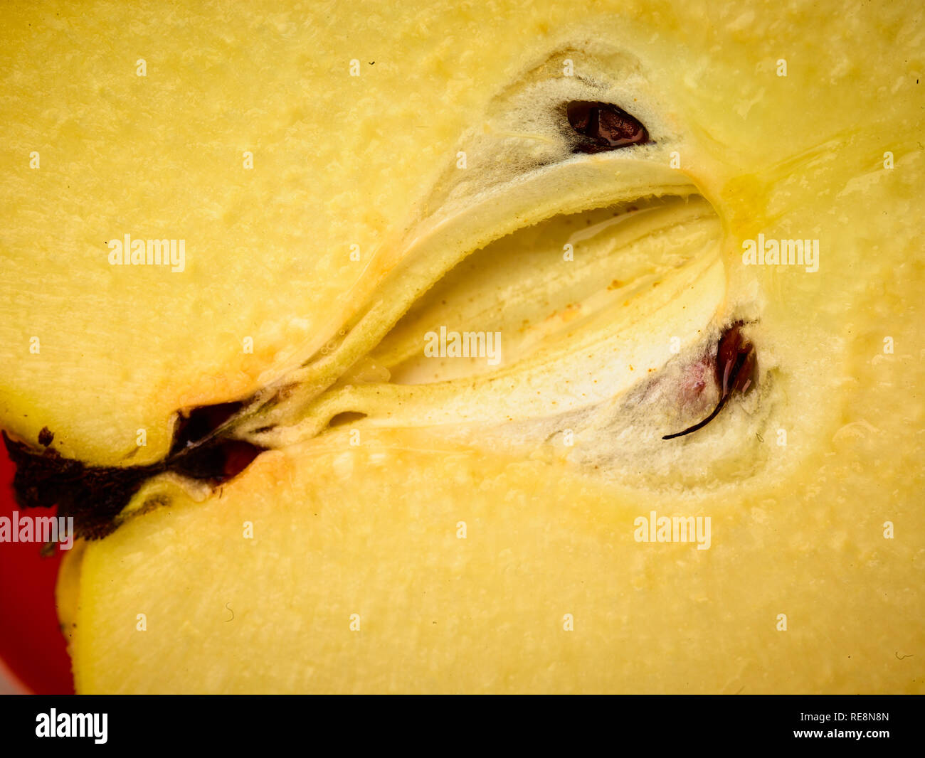 Fotografia macro di tagliare le mele cotogne frutti che presentano forma e semi, cibo Foto Stock