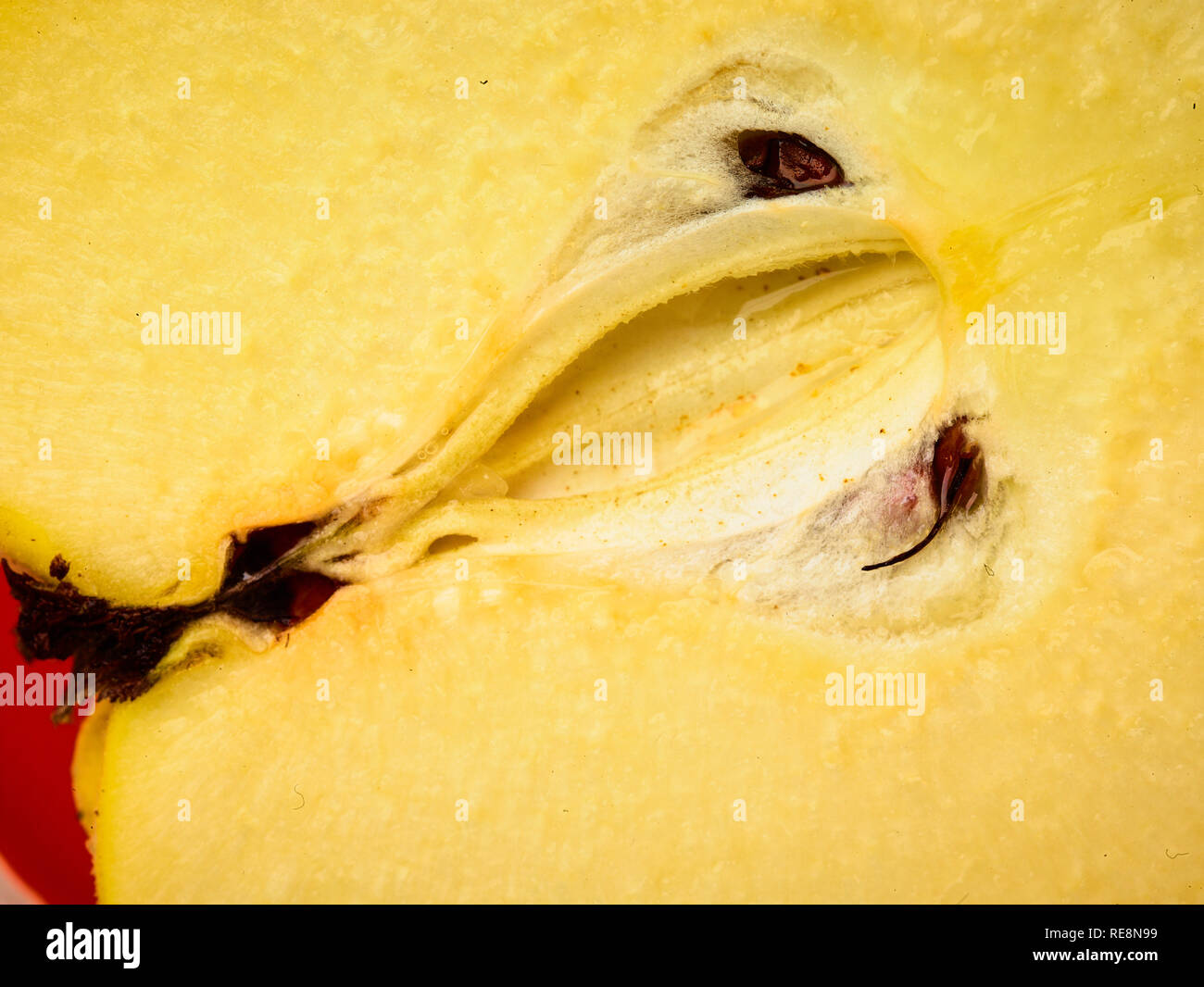 Fotografia macro di tagliare le mele cotogne frutti che presentano forma e semi, cibo Foto Stock