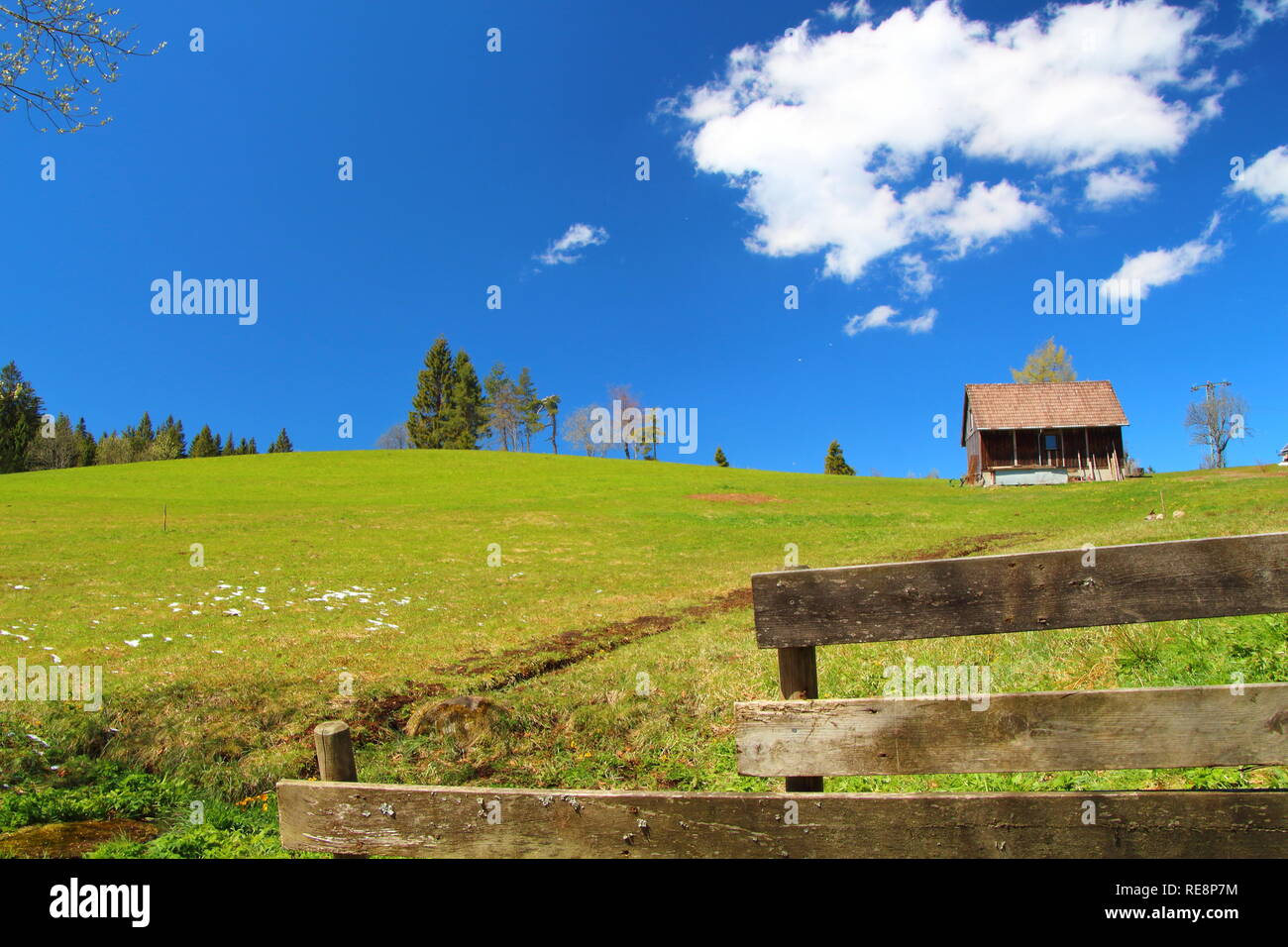 Campo di erba sulla bella giornata di sole. Fienile dietro fense. Blac foresta campo in erba dietro il recinto con fienile in backgroud. Foto Stock