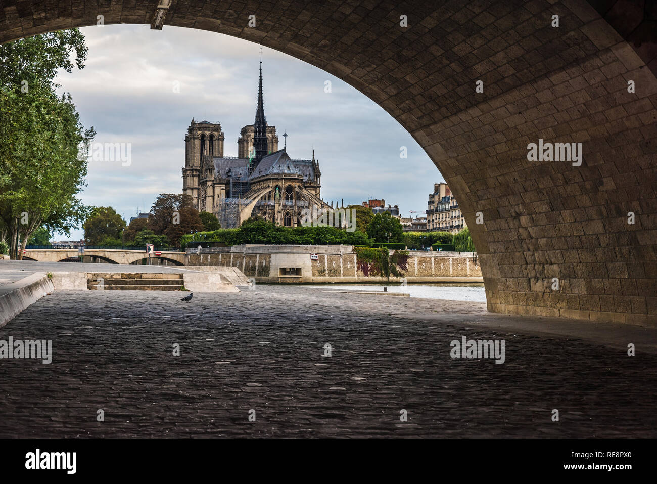 Notre Dame de Paris cathedral vista da sotto il ponte sulla Senna bank, Paris, Francia al mattino Foto Stock