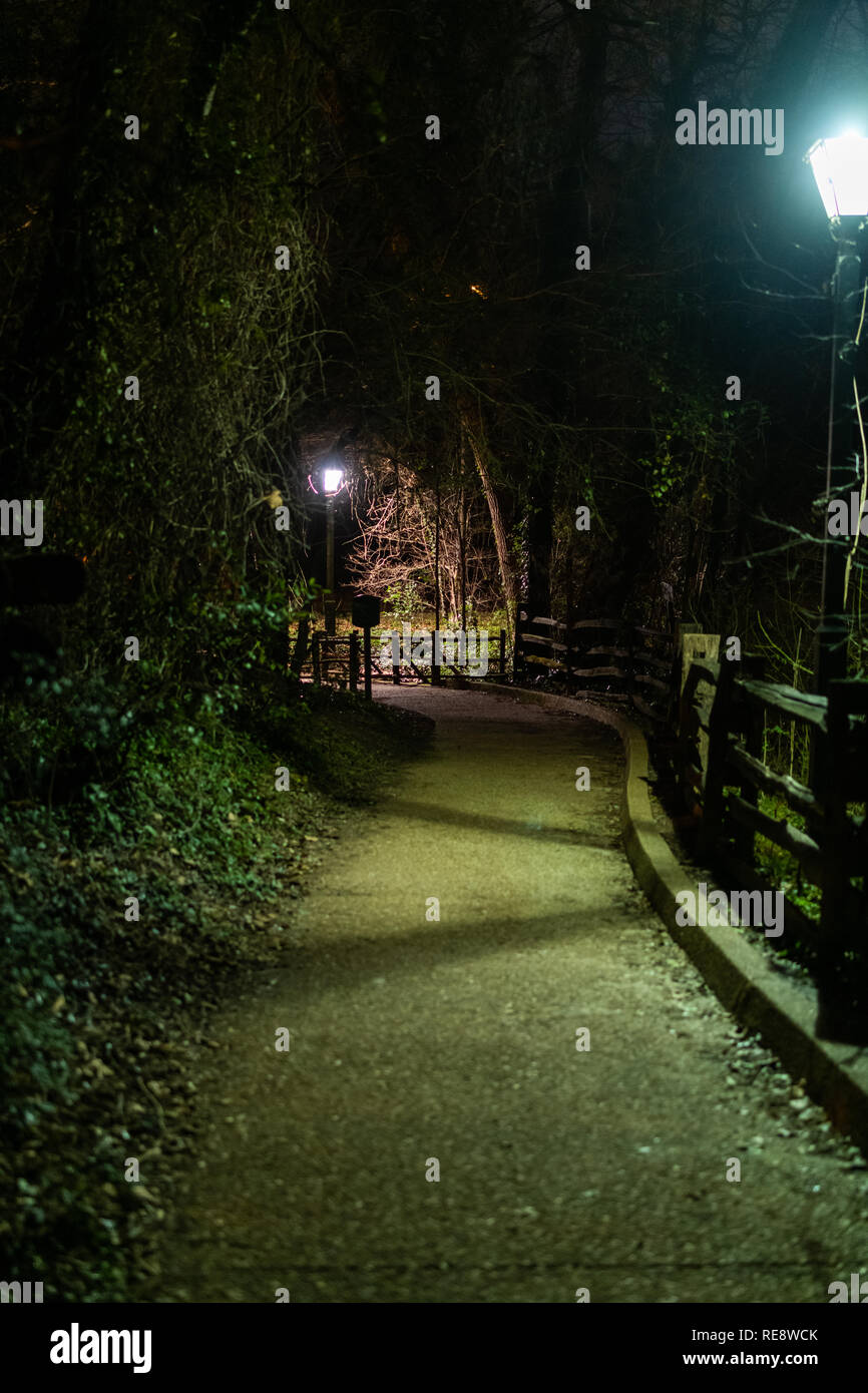 Creepy percorso attraverso il bosco di notte Foto Stock