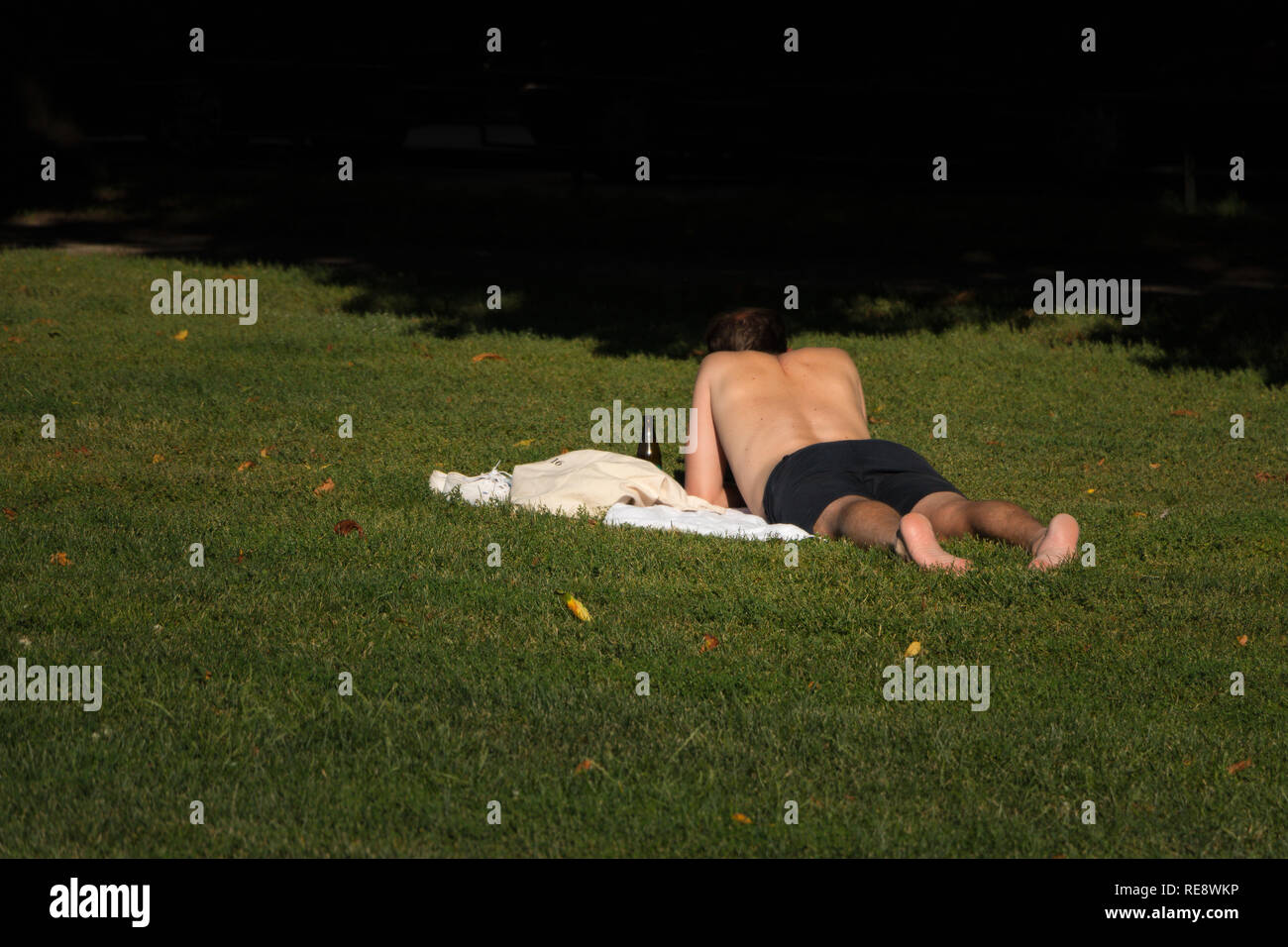 Adulto uomo disteso sull'erba godendo il sole estivo Foto Stock