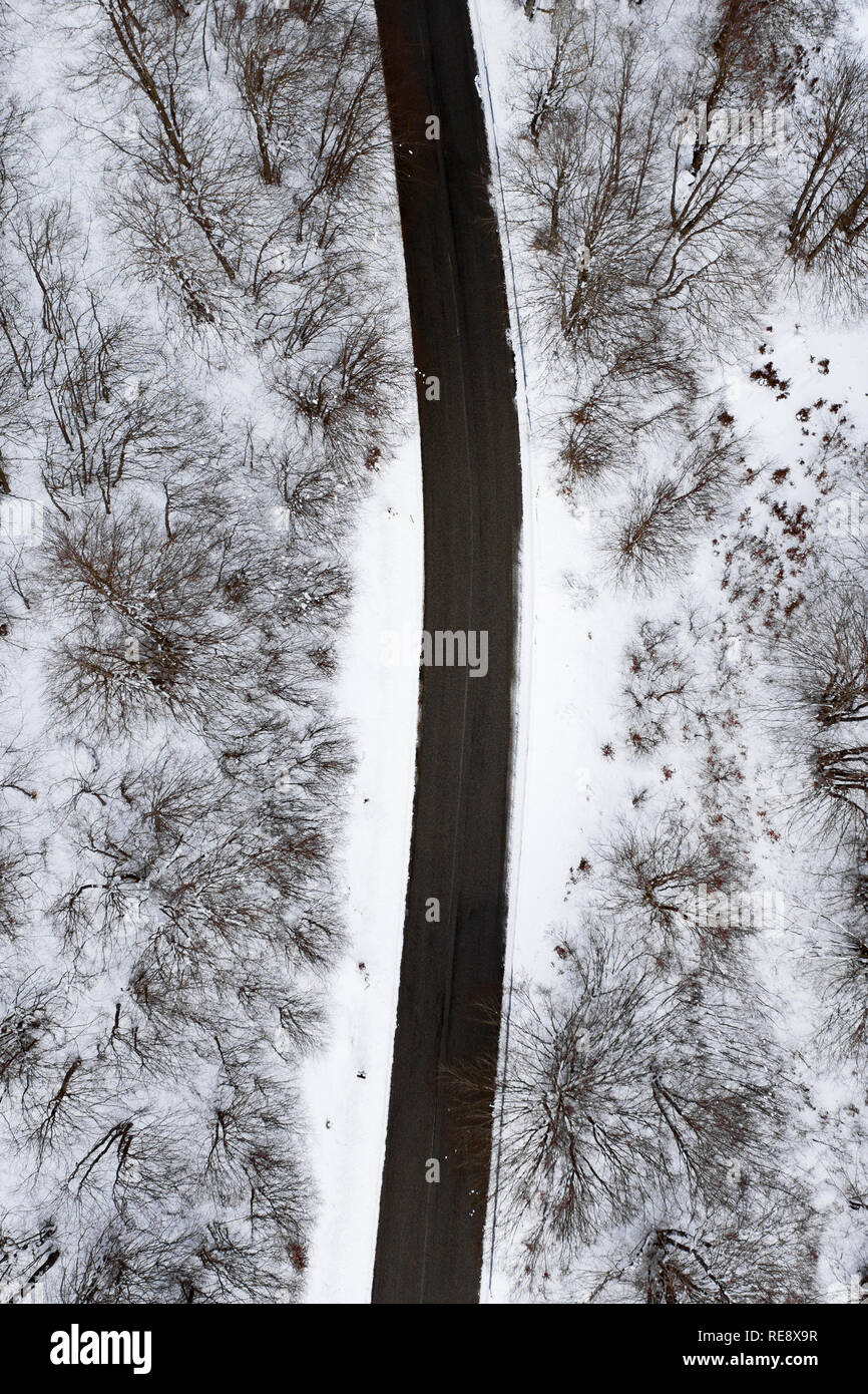 Vista aerea di una strada circondata dalla foresta di conifere e il bianco della neve. Parco nazionale d'Abruzzo, Lazio e Molise, Italia. Foto Stock