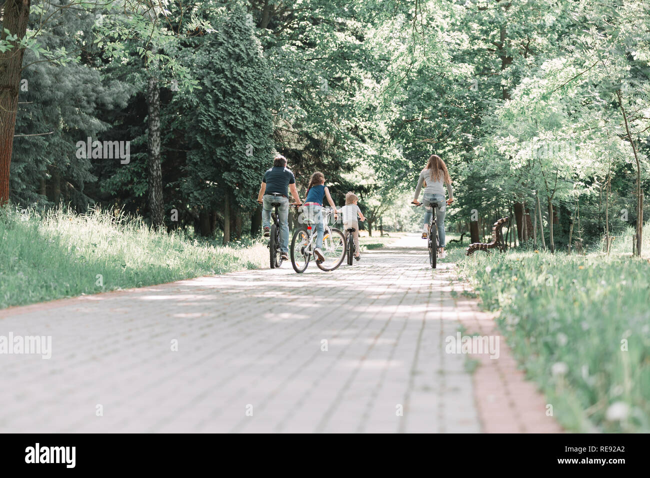 Vista posteriore .a maglia stretta famiglia su di un giro in bici nel Parco Foto Stock