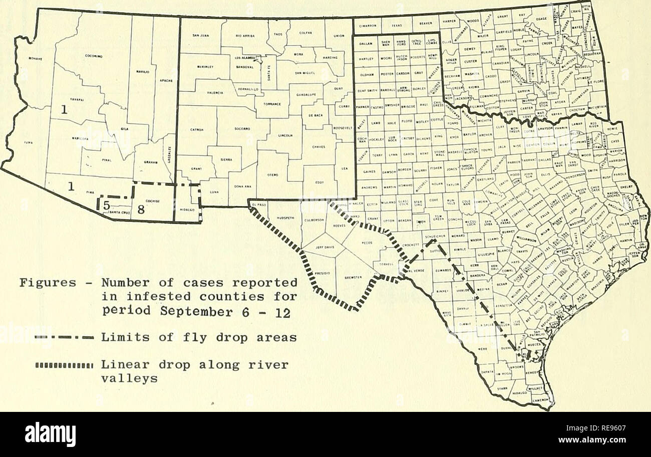 . Cooperativa economica relazione di insetti. Insetti Utili; pesti di insetto. 1078 - Stato della vite-WORM (Cochliomyla hominlvorax) nel sud-ovest nessuna vite-worm casi segnalati dal Texas o Nuovo Messico settembre 6-12. In Arizona, 15 casi segnalati: Cochise (8), Santa Cruz (5), Yavapai (1) e Pima (1) contee. Il Messico ha riferito 241 casi in stati di Veracruz (2), San Luis Potosí (2), Nuevo Leon (3), Chihuahua (74), sonora (116), Zacatecas (4), Puebla (2), Durango (23), Tamaulipas (9) e Coahuila (6). Vite sterile-worm vola rilasciato: 19,769,850 in Texas, 600.000 in New Mexico, 7,146,000 in Ar Foto Stock