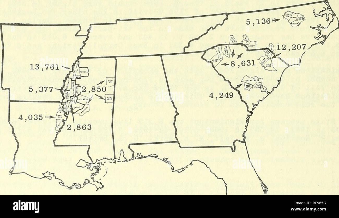 . Cooperativa economica relazione di insetti. Insetti Utili; pesti di insetto. 1256 - Area (Covmty e membro) Numero di curculioni per acro T^6l â 1962 CAROLINA DEL NORD E DEL SUD Centrale Sud Carolina del Sud (Orangeburg, Bamberg, Dorchester contee (area 1)). Pianura Costiera del Sud e del Nord Carolina (Firenze, Darlington e Marlboro contee, S.C.; Scozia County, N.C. (Zona 2). Il piemonte del Sud e del Nord Carolina (Anderson, verde- ville e Spartanburg contee, S.C.; Mecklenburg, Cleveland e Unione contee, N.C. (Zona 3). North Central North Carolina (Nash, Wilson, Franklin e Edgecombe Counti Foto Stock