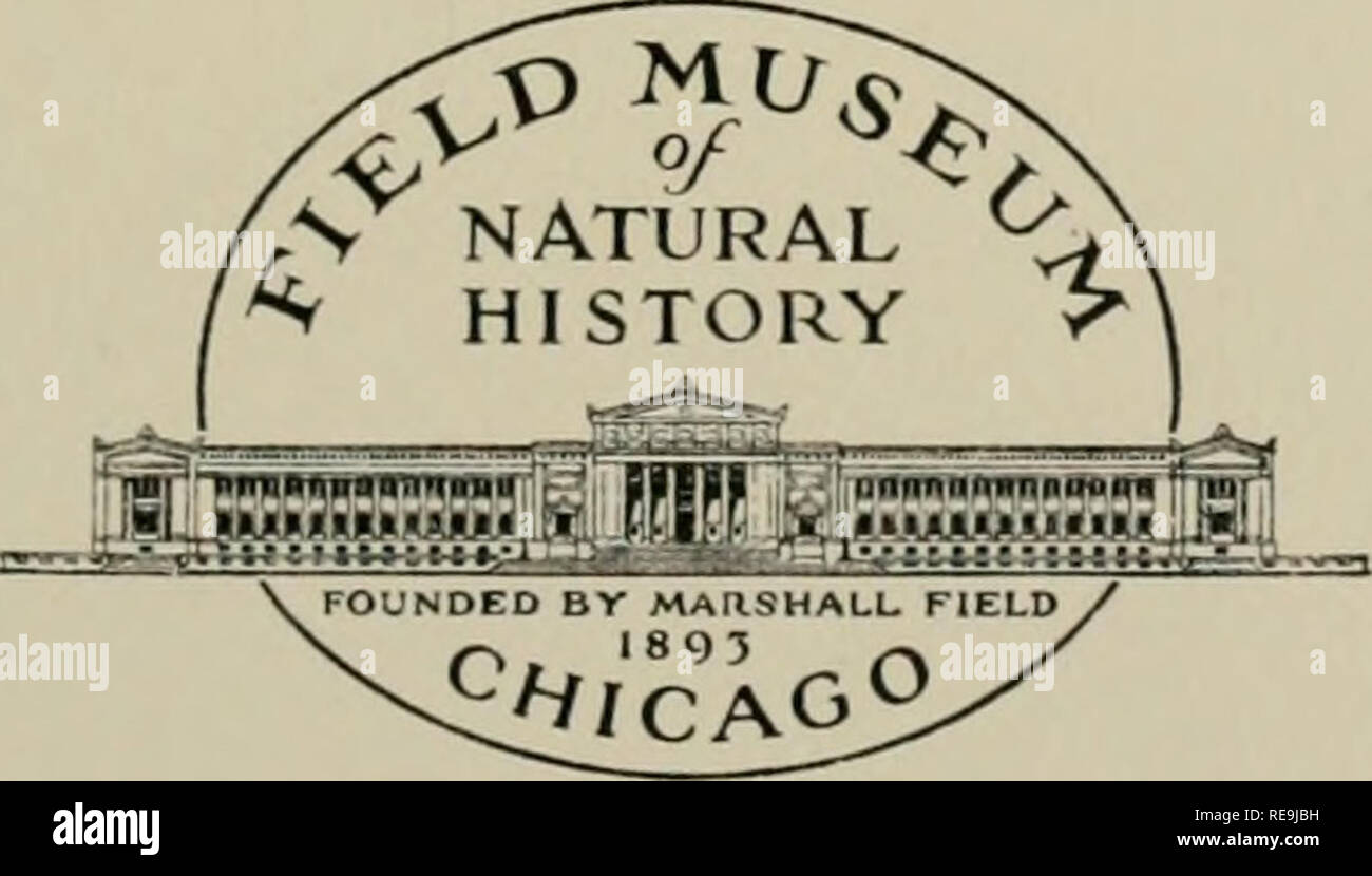 . Contributi di antropologia dell'Iran / da Henry Field, curatore di antropologia fisica. Etnologia -- Iran; Antropometria -- Iran; l'Iran -- La vita sociale e la dogana. Pubblicazioni DI SETTORE DEL MUSEO DI STORIA NATURALE serie antropologico Volume 29. illMSl chicago, U.S.A. 1939. Si prega di notare che queste immagini vengono estratte dalla pagina sottoposta a scansione di immagini che possono essere state migliorate digitalmente per la leggibilità - Colorazione e aspetto di queste illustrazioni potrebbero non perfettamente assomigliano al lavoro originale. Campo, Henry, 1902-; campo Museo di Storia Naturale. Chicago : Museo di campo premere Foto Stock