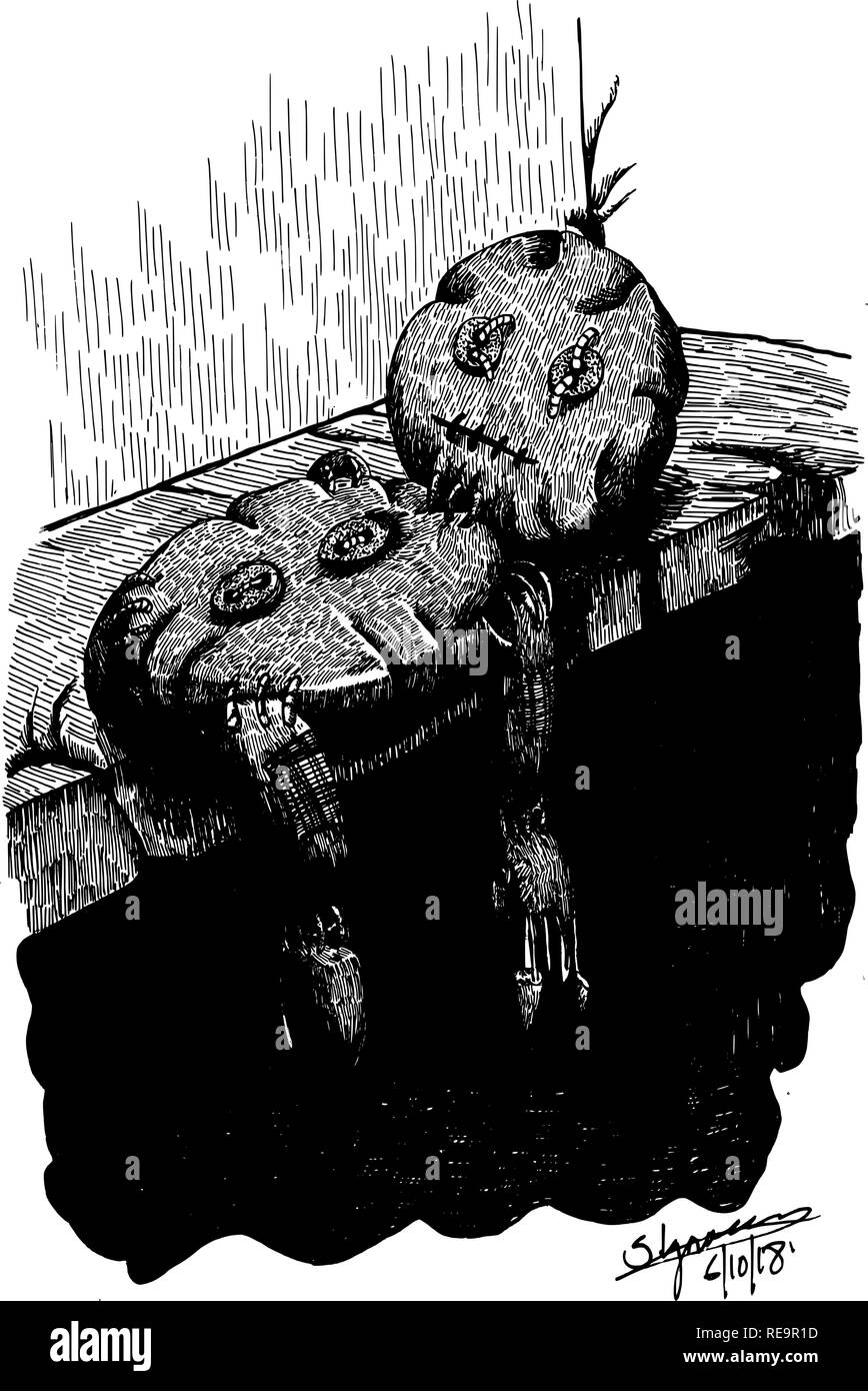 Pane di zenzero uomo sullo scaffale Illustrazione Vettoriale