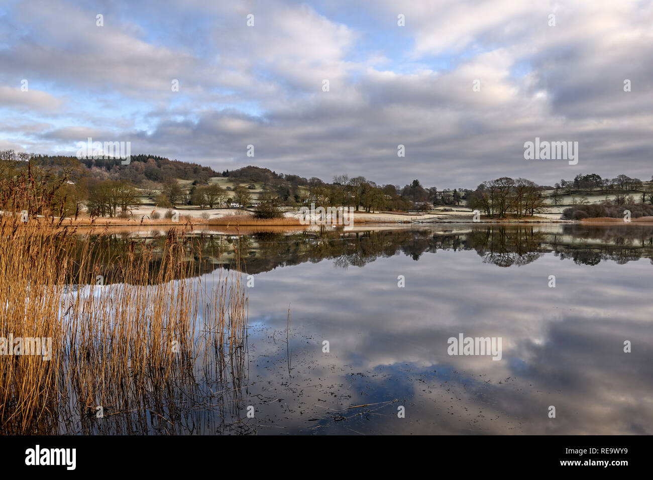Bellissimo specchio-simili riflessioni su Esthwaite acqua vicino Hawkshead su un freddo gelido mattina di gennaio Foto Stock