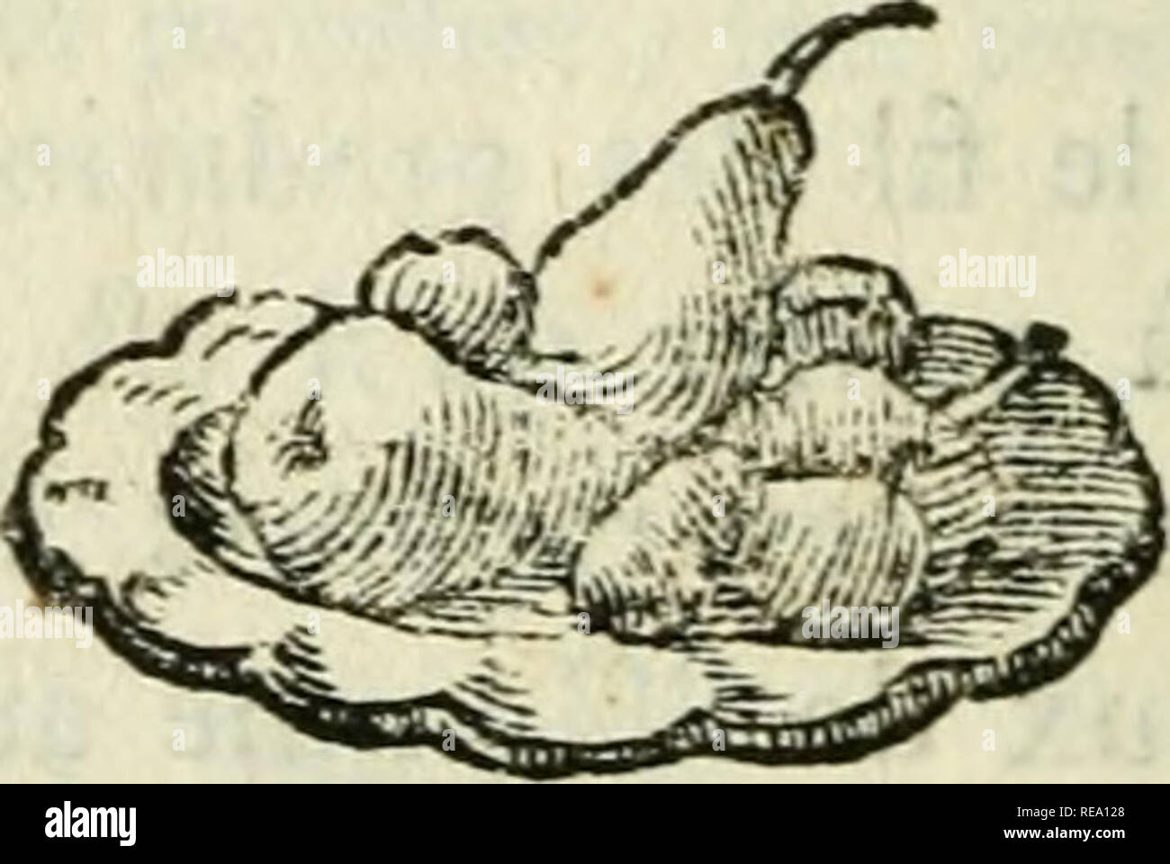 . La contemplazione de la natura. Biologia; Filosofia. 20! CONTEMPLATTON Enfin, il y a peut-Ãªtre des Mondes, dont les rapports à la terre font comme ceux de riiommc Ã globulo onu d'aria Ci). ( Ã® ) f io Le I.efteur iKtclligent un pí©nÃ©TRÍ© ina peiifÃ©e. Je costitui- ã§ois que les Momies planÃ©taires n'ont pas Ã©tÃ© moins divcrfifiÃ©s, Eioins sfumature que les Produdions de notre Globe. Nous avons vu la pcrfeftion corporelle croitre par degrÃ©s, depuis l'atome brut itifqu'Ã l'Etre le plus parfait de notre PlanÃ¨te : altopiano avons contemplÃ© rapidement la progreffiou croifTante toujours de la perfeftion organiq Foto Stock