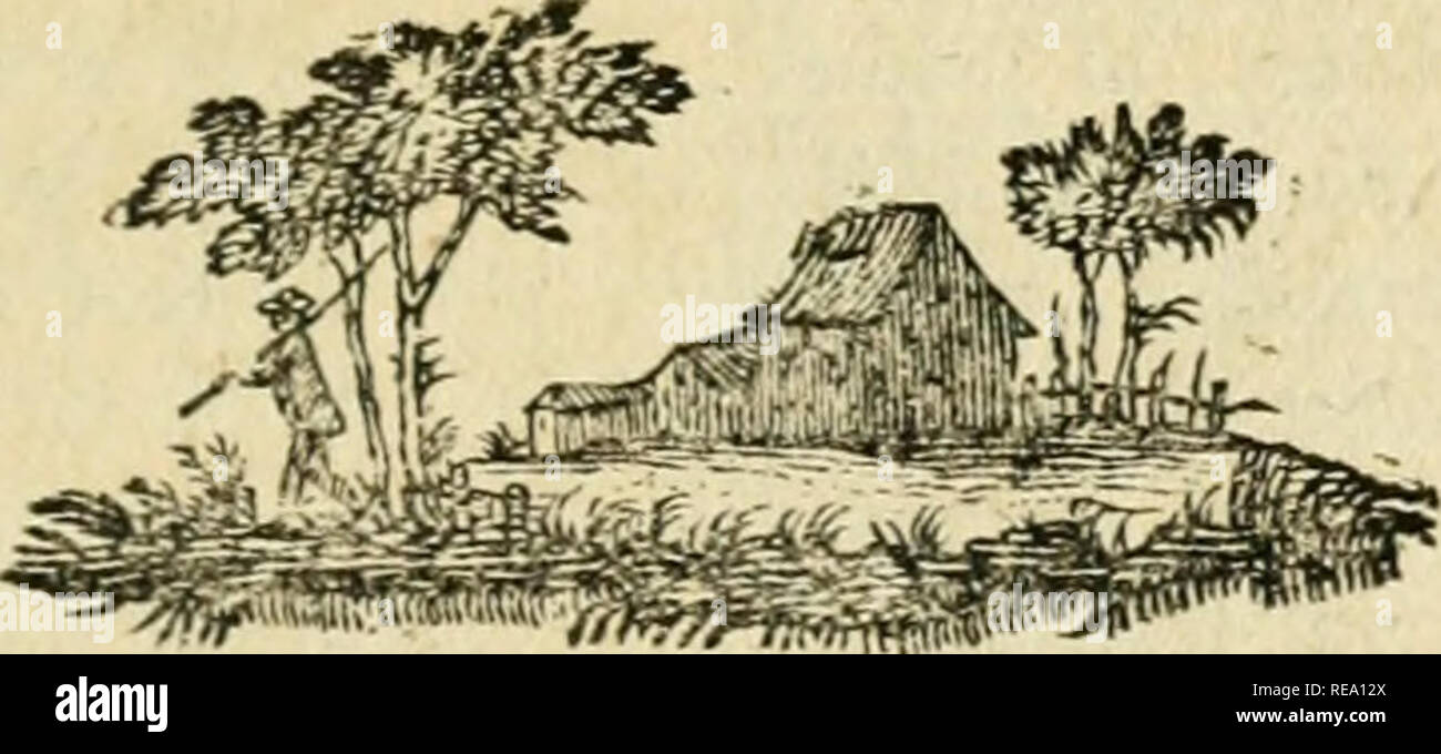 . La contemplazione de la natura. Biologia; Filosofia. DE LA NATURA. Parte III St quelque diftindif que femble caradere ce , on ne fauroit affinner fan tÃ©mÃ©ritÃ© , qu'il foit esenti d'eccezione ( i ). ( I ) tt C'eft qu'il pourroit fe trouver dans la Plante de# parti qui , ventole femblables Ãªtre aux nerfs des animaux, ferolent nÃ©anmoins capables de foudlions analoÃ§UE. Je traite ailleurs plus Ã fond de la queftion , fi les Plantes font infen- fibles. J'ajoute , qu'on ne dÃ©couvre pas des nerfs dans tous les Animaux : on n'en dÃ©couvre punto, par esempio dans les jiombreufes des familles Polipo Foto Stock
