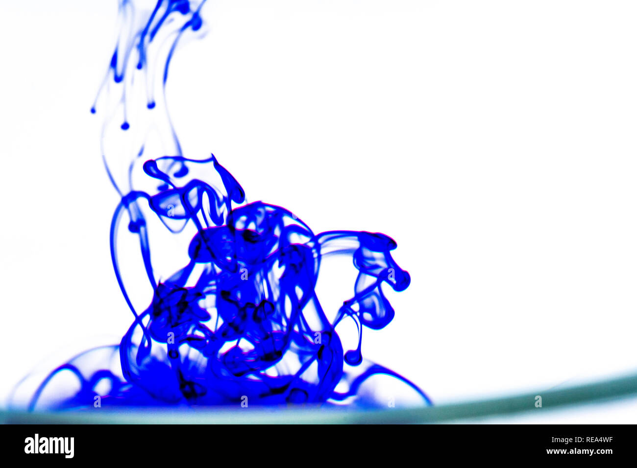 Inchiostro blu in acqua Foto Stock