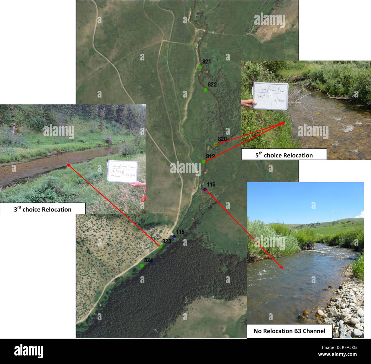 . Analisi di fattibilità di traslocare western pearlshell cozze in Cherry Creek trota nativo progetto raggiungere sul Flying D ranch nel Montana. Idroecologia; invertebrati acquatici; Western pearlshell; Mitili. Mappa 1. Cherry Creek sul TEI da proprietà barriera artificiale (sito 115) a valle in Butler raggiungere. Si prega di notare che queste immagini vengono estratte dalla pagina sottoposta a scansione di immagini che possono essere state migliorate digitalmente per la leggibilità - Colorazione e aspetto di queste illustrazioni potrebbero non perfettamente assomigliano al lavoro originale. Stagliano, David M. ,autore; montana del patrimonio naturale del programma; Foto Stock