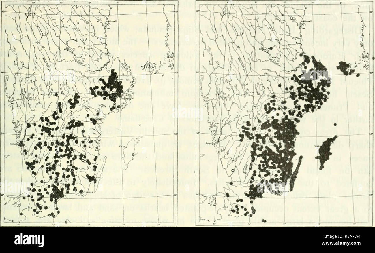 . L'elemento continentale nella flora del sud della Svezia. Botanica -- Svezia. La flora continentale del sud della Svezia 321. Fig. 15. La distribuzione di Pulsatilla vulgaris in Scandinavia (West-European). O: occorrenze, che forse dovrebbe essere ri- cesso di P. pratcnsis. La specie non e.xist in Finlandia. In Den- mark si verifica nella maggior parte del nord-est Zealand, nord-occidentale e Fyen in gran parte dell'Europa centrale e orientale dello Jutland. [Il verificarsi di var. gothlandica K. Joh. su Gotland è contrassegnato.] Fig. 16. La distribuzione di Helianthemum chamaecistus Mill, (coll.) in Scandinavia. Ad eccezione di un paio di o Foto Stock