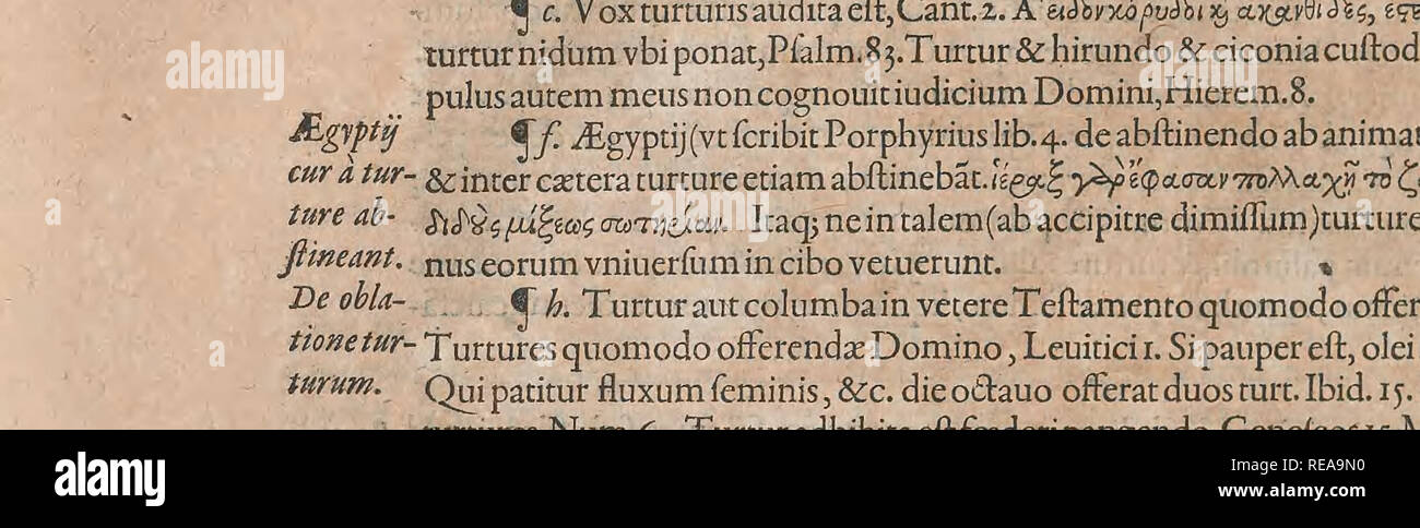 . Conr. Gesneri Tigurini, medicinae et philosophiae professoris in Schola Tigurina, Historiae animalium liber II : qui est de quadrupedibus ouiparis. Opere Pre-Linnean; le prime opere a 1800; Zoologia; Anfibi e Rettili. De Cormcc.A.B.Lib.III. 311 Munfteri kurh "ts^^^^^jChaldaicaCvt coniicio) vox pf o cornice (cnhkut.KMth, nfe^^,Septuaginta pele- eanum vertunt,vuIgataa:ditio onocrotalu.-in Thalmud hxc auis(tefte R.Dauid Kimhi) alio nomine ^'i-^jMjVocatur^quxauis montare folitaria &AMP; loca maritima incolat. ludseivulgo kra(d eft cornicem)inter- pretantur,P.Fagius.AuicennsEinterpres4/^4i. fus Alb Foto Stock