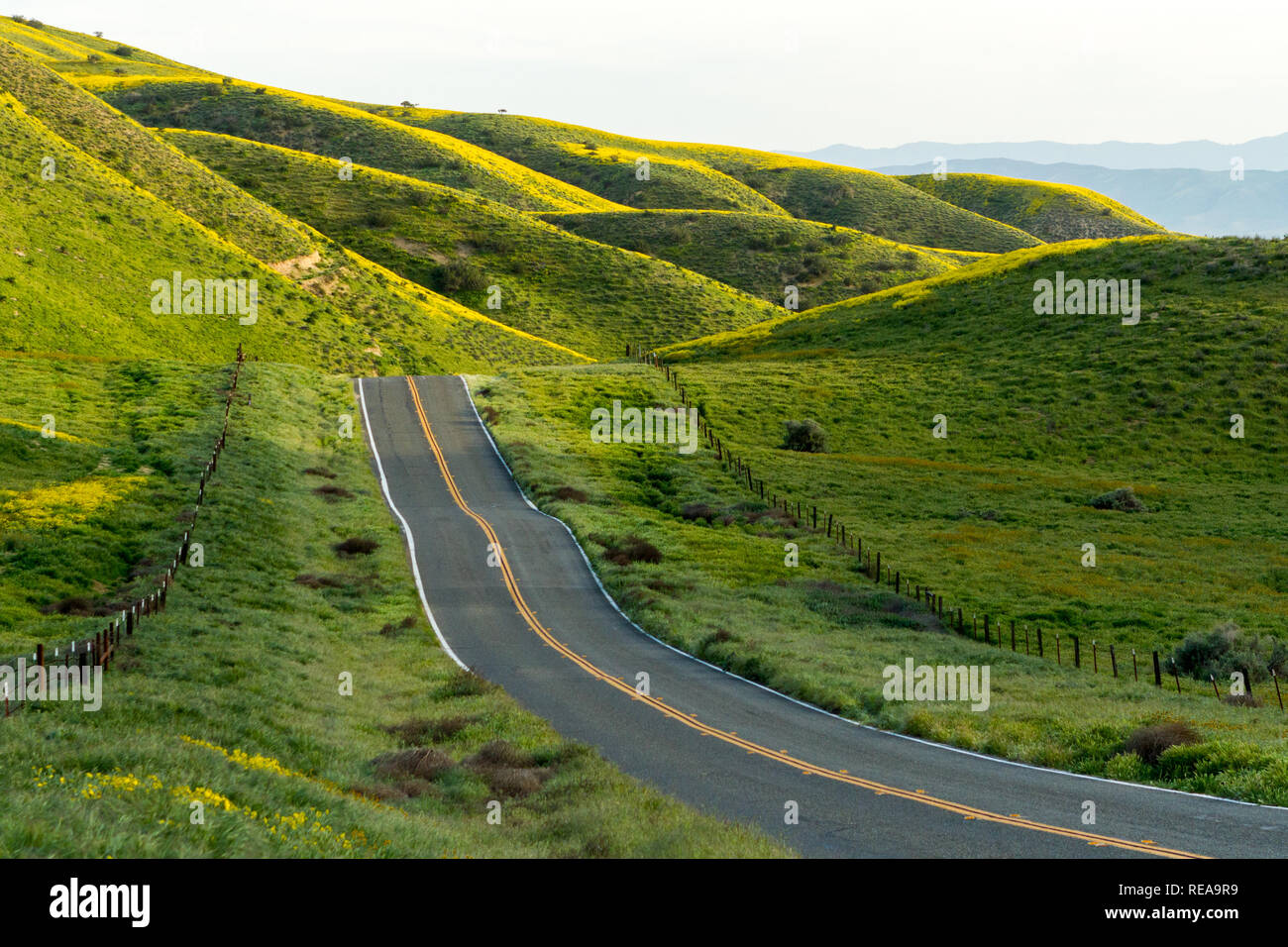 Benvenuti nel Paese delle Meraviglie - CA-58 conduce al paese delle meraviglie di Carrizo Plain monumento nazionale. Santa Margarita, CALIFORNIA, STATI UNITI D'AMERICA Foto Stock