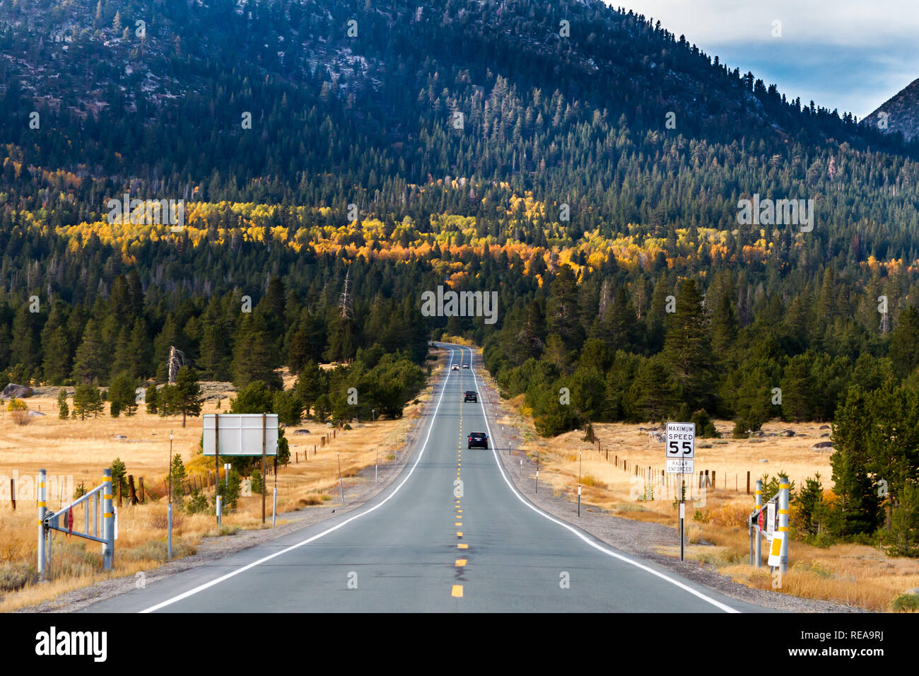 O Pot' Gold - California State Route 89 conduce ad una sorpresa grove di coloratissimi aspens tra i sempreverdi. Hope Valley, California, Stati Uniti d'America Foto Stock